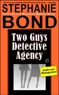 ebook cover two guys detective agency